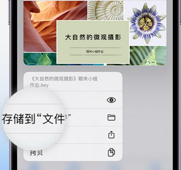 周矶管理区apple维修中心分享iPhone文件应用中存储和找到下载文件