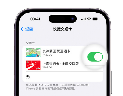 周矶管理区apple维修点分享iPhone上更换Apple Pay快捷交通卡手绘卡面 