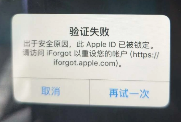 周矶管理区iPhone维修分享iPhone上正常登录或使用AppleID怎么办 