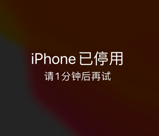 周矶管理区苹果手机维修分享:iPhone 显示“不可用”或“已停用”怎么办？还能保留数据吗？ 