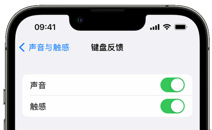 周矶管理区苹果手机维修分享iPhone 14触感键盘使用方法 