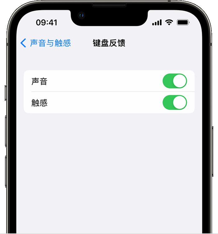 周矶管理区苹果14维修店分享如何在 iPhone 14 机型中使用触感键盘 