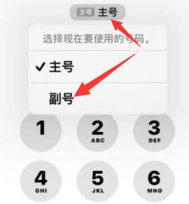 周矶管理区苹果14维修店分享iPhone 14 Pro Max使用副卡打电话的方法 