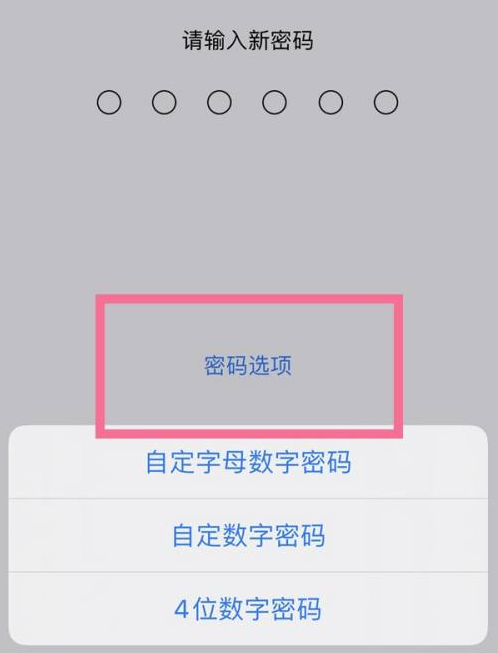 周矶管理区苹果14维修分享iPhone 14plus设置密码的方法 