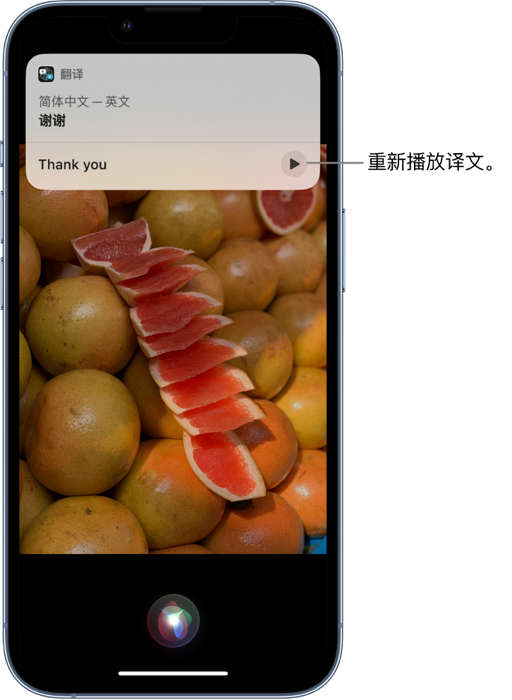 周矶管理区苹果14维修分享 iPhone 14 机型中使用 Siri：了解 Siri 能帮你做什么 