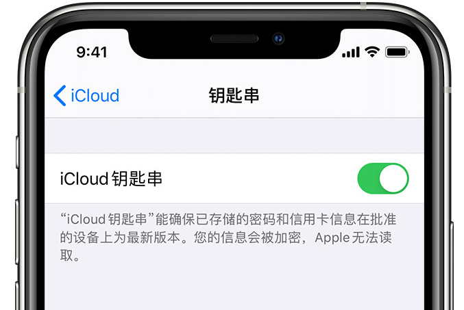 周矶管理区苹果手机维修分享在 iPhone 上开启 iCloud 钥匙串之后会储存哪些信息 